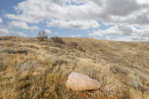 View of local wilderness