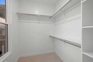 Spacious closet featuring light carpet