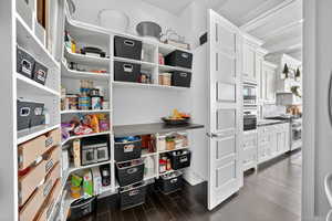 Kitchen Pantry