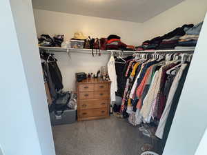 Walk in closet featuring carpet floors