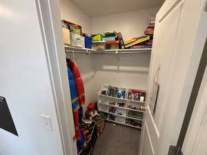 Spacious closet with dark colored carpet
