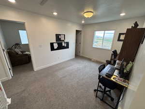 Carpeted office space with recessed lighting and a textured ceiling
