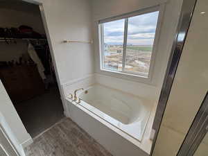 Bathroom featuring wood finished floors, a bath, and a walk in closet