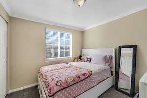 Carpeted bedroom with ornamental molding and a closet