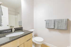 Full bathroom featuring vanity, a shower, and light wood-style flooring