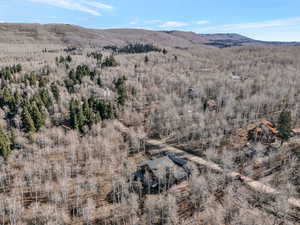 Bird's eye view of a mountainous background and a heavily wooded area
