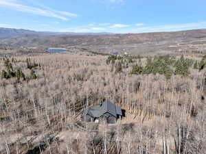 Drone / aerial view of mountains and a forest
