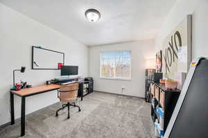 Office featuring light carpet and a textured ceiling