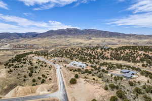 Aerial view of sparsely populated area featuring a mountain backdrop