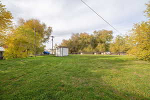 Backyard view of green lawn featuring a storage unit