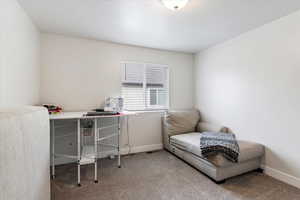 Office featuring light colored carpet and baseboards