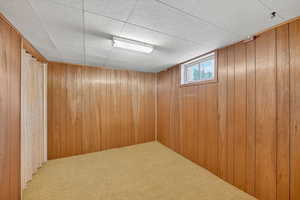 Basement with carpet floors and wooden walls