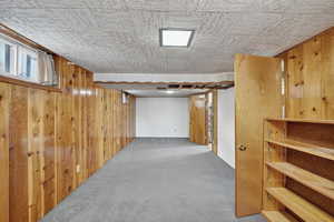 Basement featuring wood walls and carpet