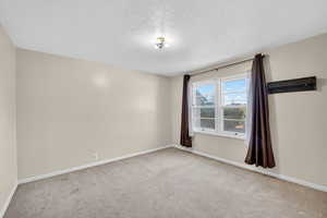 Unfurnished room featuring light carpet and a textured ceiling