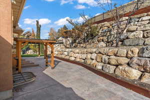 Back patio, terrace lined with fruit trees