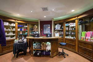 Bar area with carpet flooring and recessed lighting