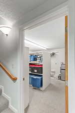 Looking into the storage room from the downstairs living room.