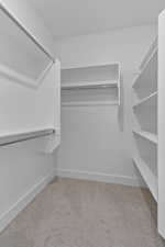 Spacious closet featuring light carpet