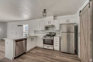 Kitchen featuring appliances with stainless steel finishes, light countertops, white cabinets, and a barn door