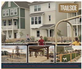 View of marketing collateral with multiple images