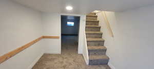 Stairway featuring carpet flooring and baseboards