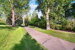 View of home's community with a yard and view of scattered trees