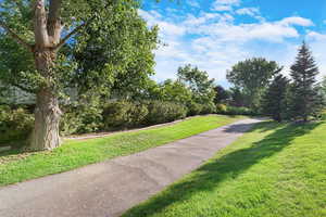 View of property's community featuring a yard