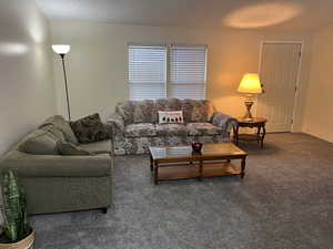 Carpeted living room with a textured ceiling