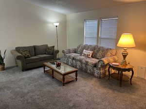 Carpeted living room with a textured ceiling