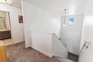 Stairs with carpet floors and baseboards