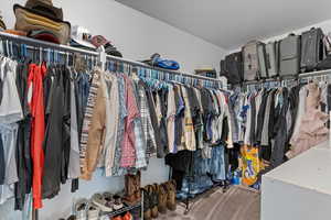 Walk in closet with carpet floors