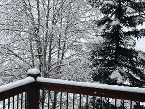 View of snow covered deck