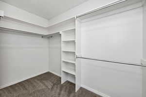 Spacious closet with dark carpet