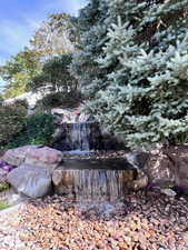 View of mature trees in backyard with waterfall feature