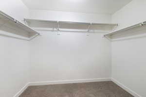 Walk in closet featuring carpet