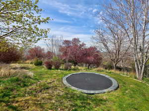 View of property's community with a trampoline and a lawn