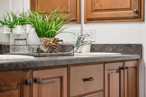 Basement Bathroom with double vanity