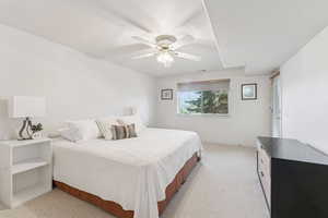 Lower level bedroom with ground level walkout