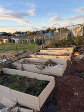 View of yard featuring a garden