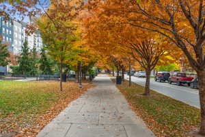 500 West median park