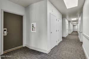 Hall featuring carpet flooring and a drop ceiling