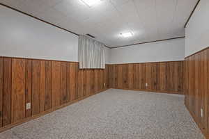 Finished basement featuring wooden walls, a wainscoted wall, and light carpet