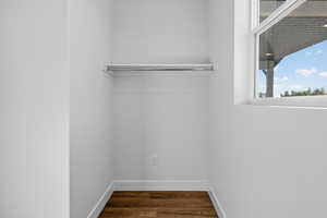 Spacious closet featuring dark wood-style flooring