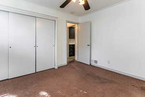 Unfurnished bedroom featuring carpet floors, a closet, ornamental molding, and a ceiling fan