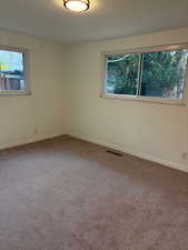 Carpeted spare room featuring plenty of natural light