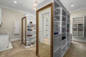 Walk in closet with light colored carpet