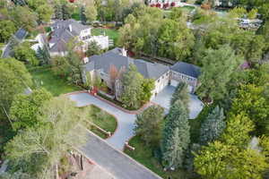 Bird's eye view of a tree filled landscape