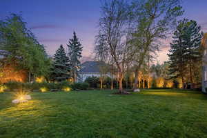 Yard at dusk with a yard