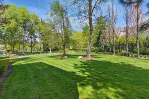 View of yard featuring view of scattered trees
