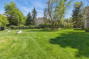View of green lawn with view of scattered trees